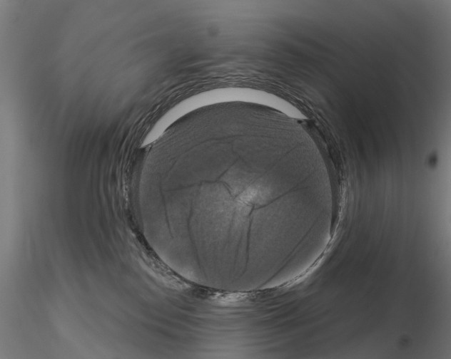 X0000114720186200912021203