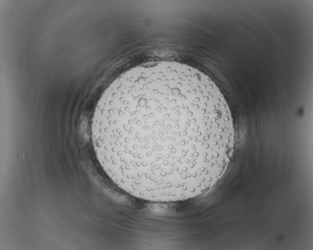 X0000114720187200912021203