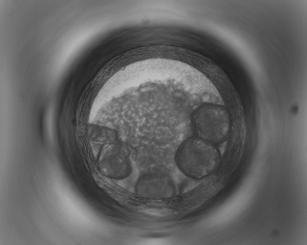 X0000114720189200912021203