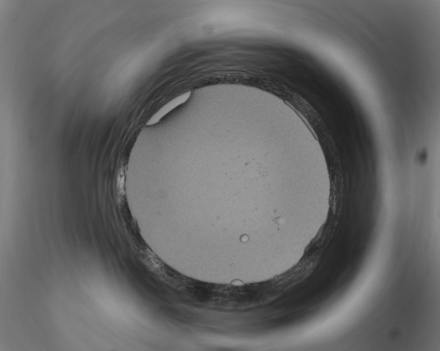 X0000114720190200912021203