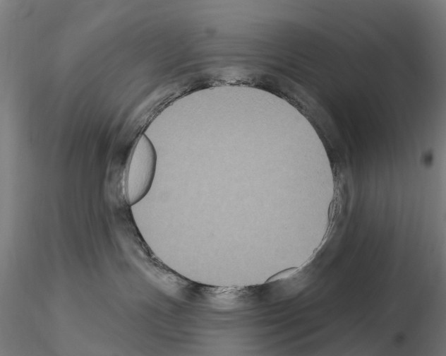 X0000114720191200912021203