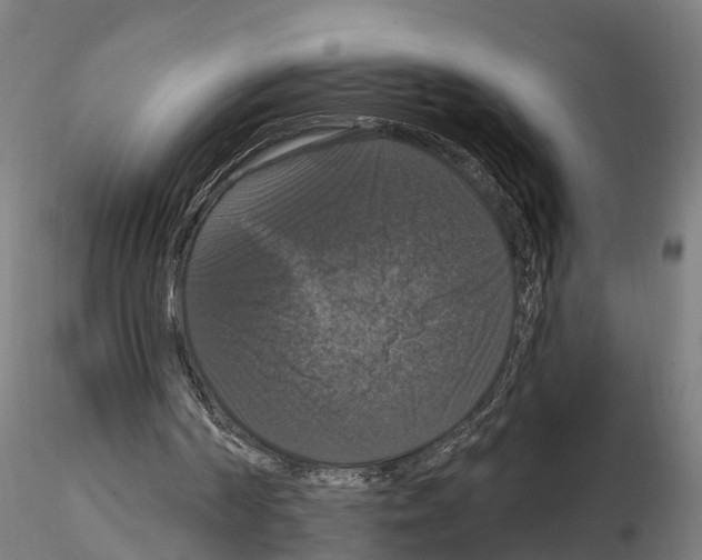 X0000114720194200912021203