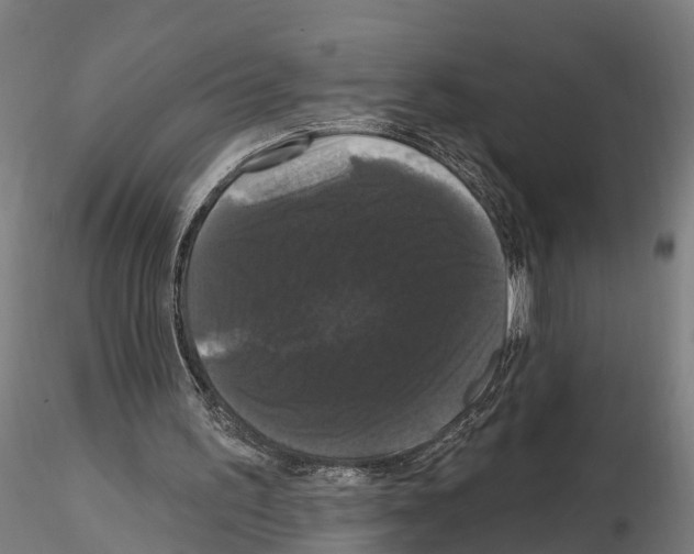 X0000114720195200912021202