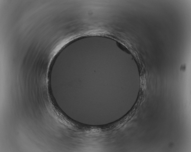 X0000114720196200912021202