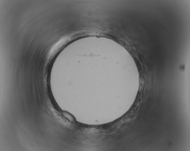 X0000114720197200912021202