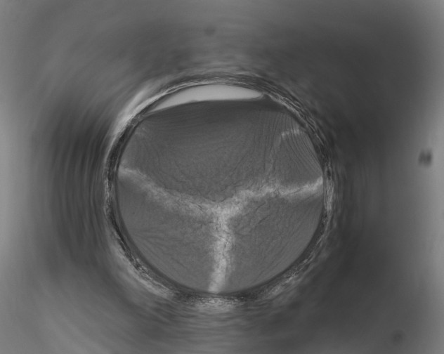 X0000114720198200912021202