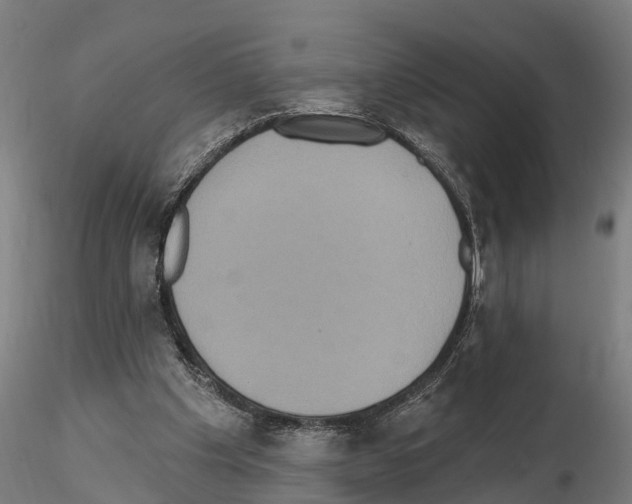 X0000114720201200912021202