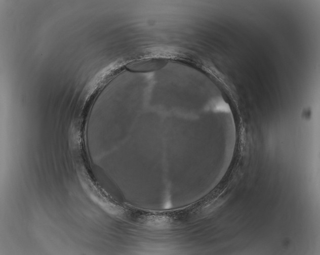 X0000114720203200912021202