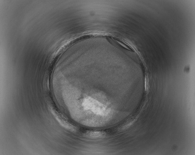 X0000114720205200912021202