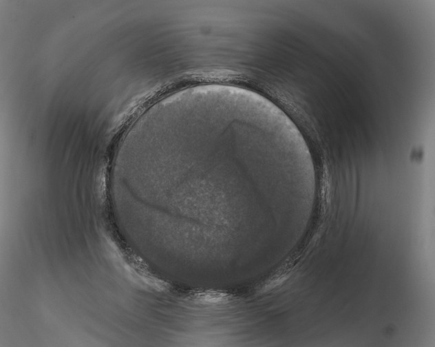 X0000114720206200912021202