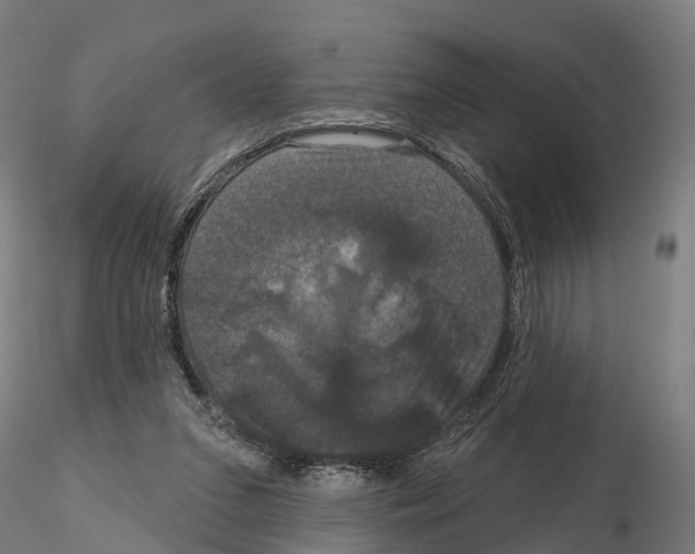 X0000114720207200912021202