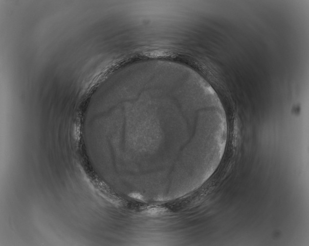 X0000114720210200912021202