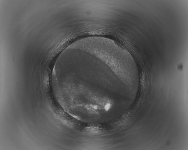 X0000114720211200912021202