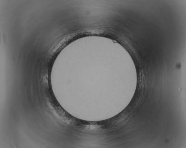 X0000114720212200912021202