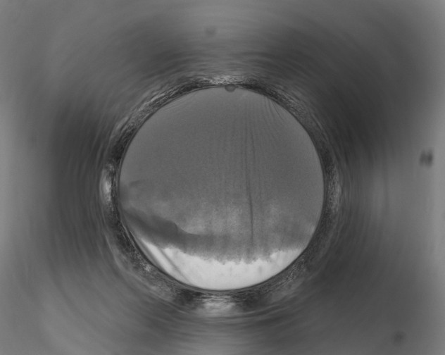 X0000114720214200912021202