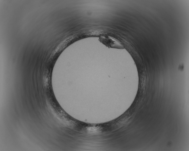 X0000114720216200912021202