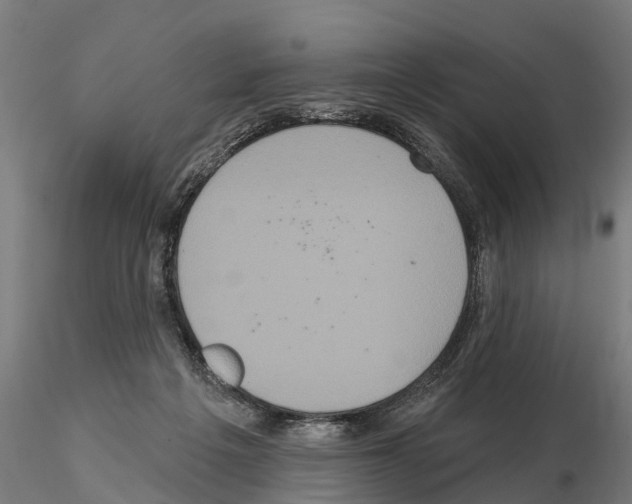 X0000114720217200912021202