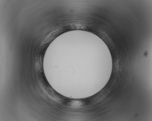 X0000114720218200912021202