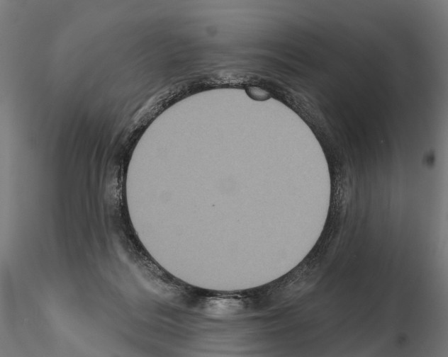 X0000114720220200912021202