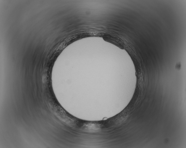 X0000114720221200912021202