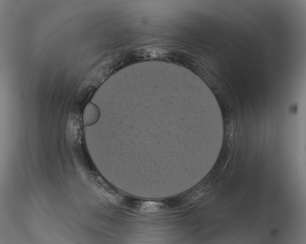 X0000114720222200912021202