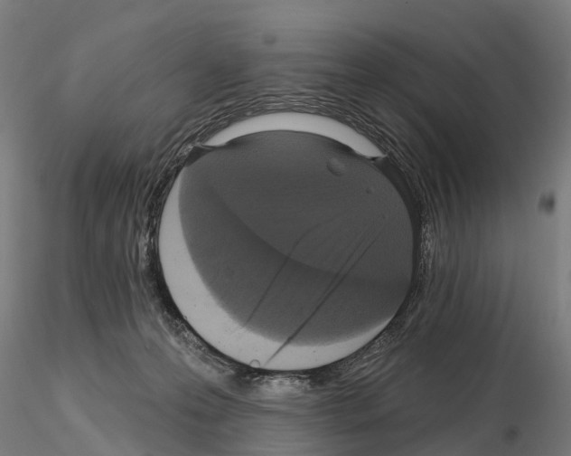 X0000114720223200912021202