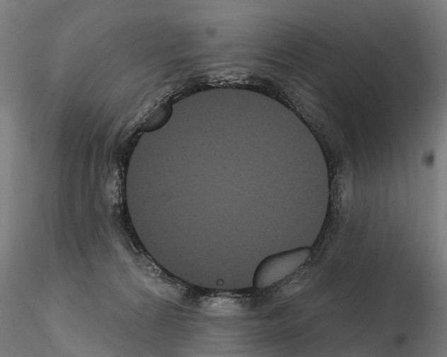 X0000114720224200912021202