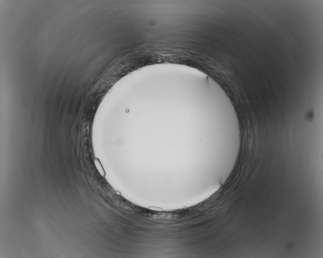 X0000114720225200912021202