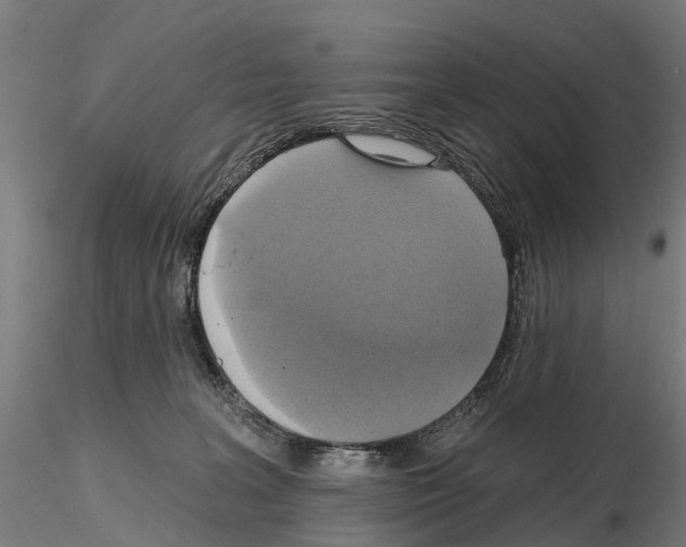 X0000114720227200912021202