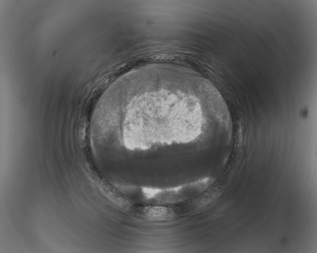 X0000114720230200912021202