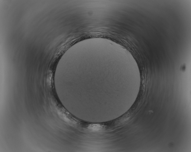 X0000114720231200912021202