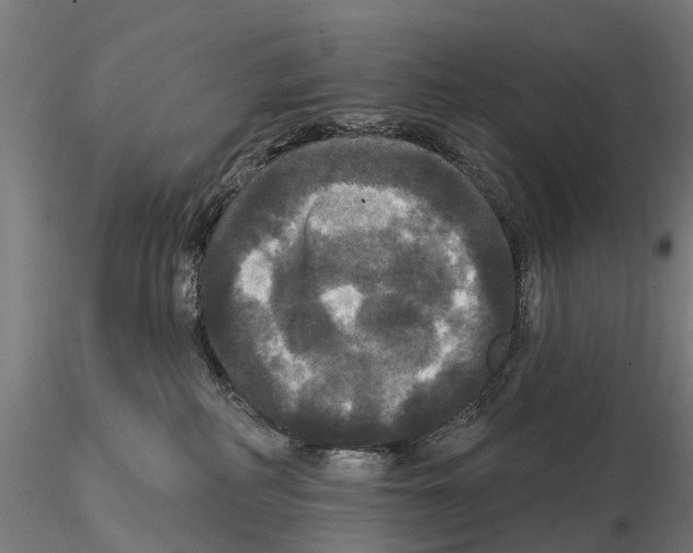 X0000114720234200912021202