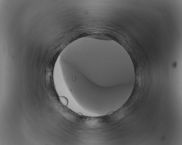 X0000114720235200912021202