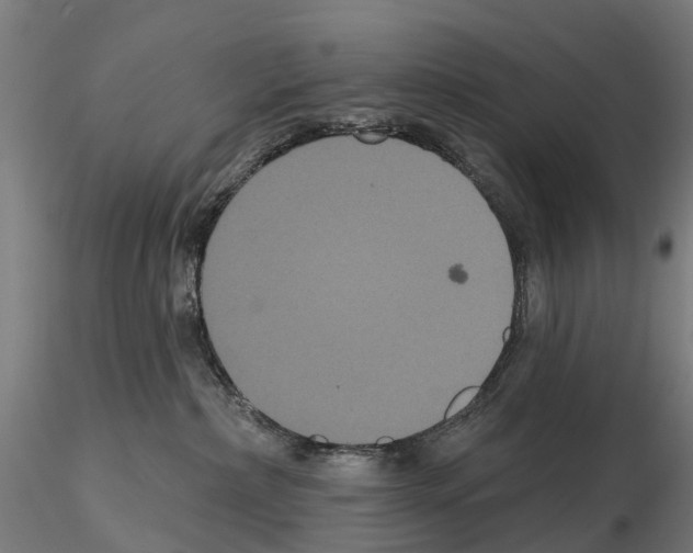 X0000114720236200912021202