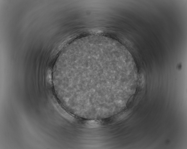 X0000114720238200912021202