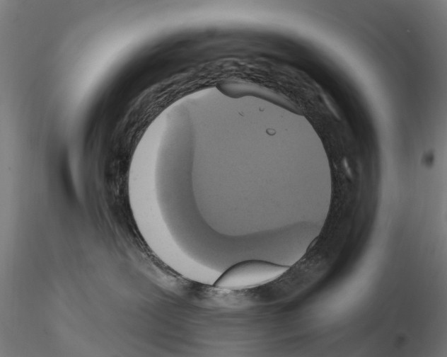 X0000114720239200912021202