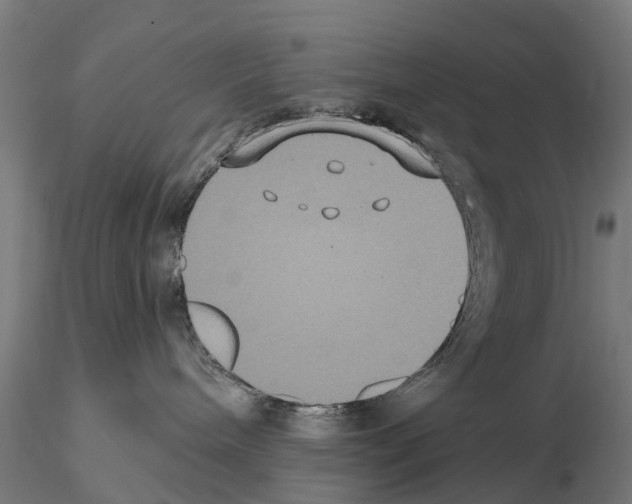 X0000114720240200912021202