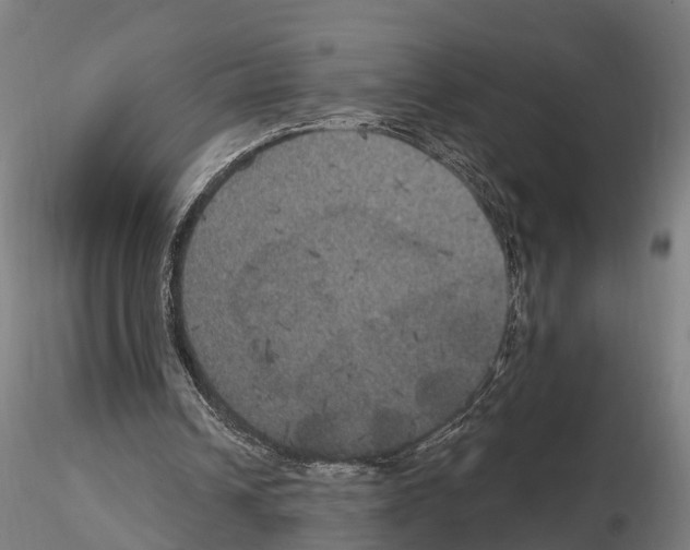 X0000114720242200912021201