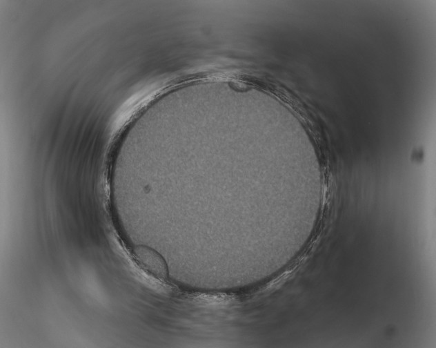 X0000114720245200912021201