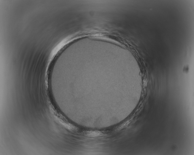 X0000114720246200912021201