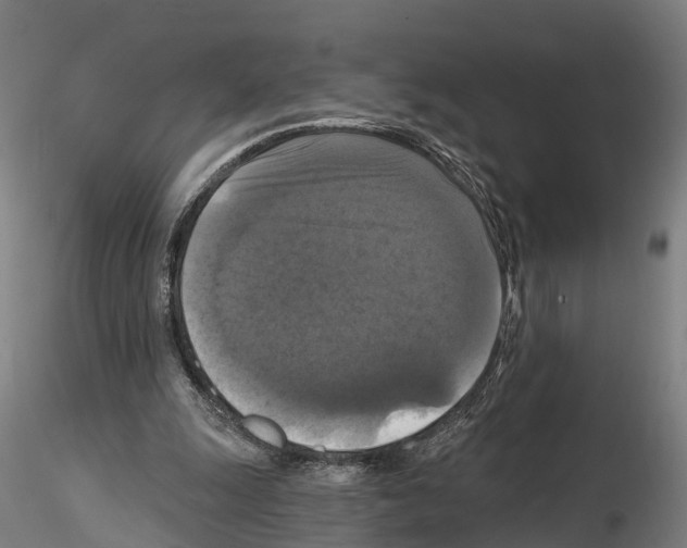 X0000114720247200912021201