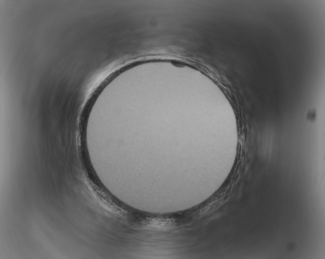 X0000114720248200912021201