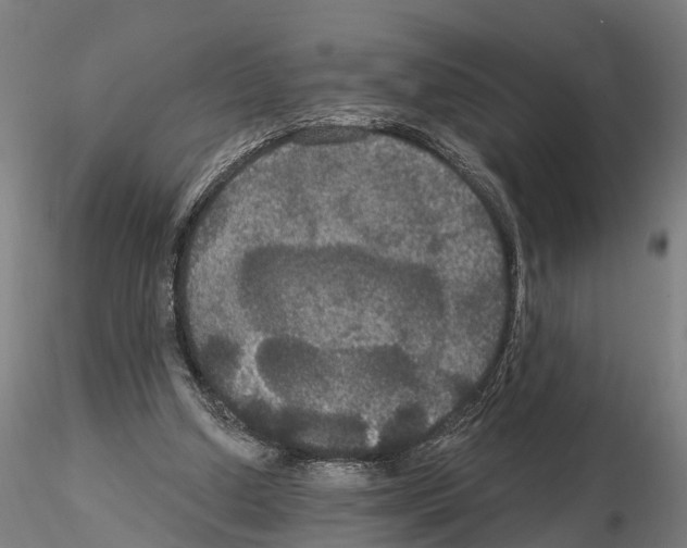 X0000114720250200912021201