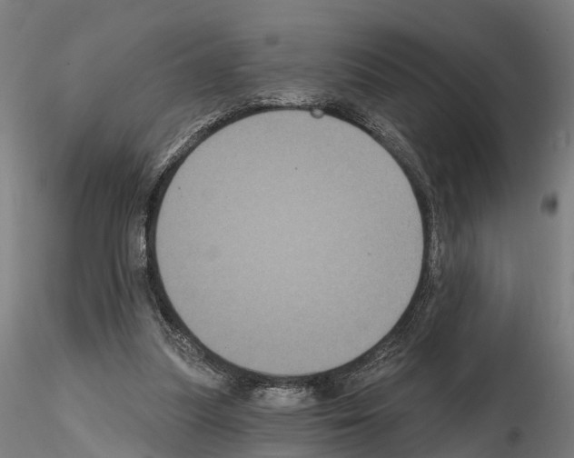 X0000114720251200912021201