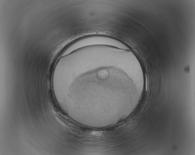 X0000114720252200912021201