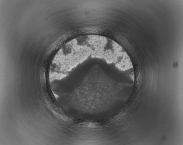 X0000114720254200912021201