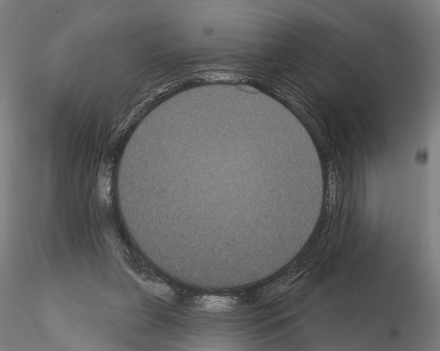 X0000114720255200912021201