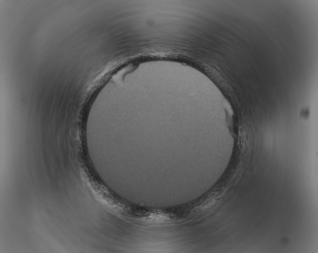 X0000114720256200912021201