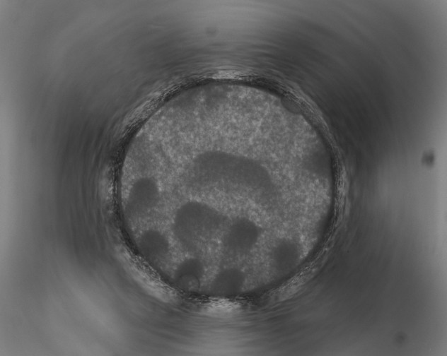 X0000114720257200912021201