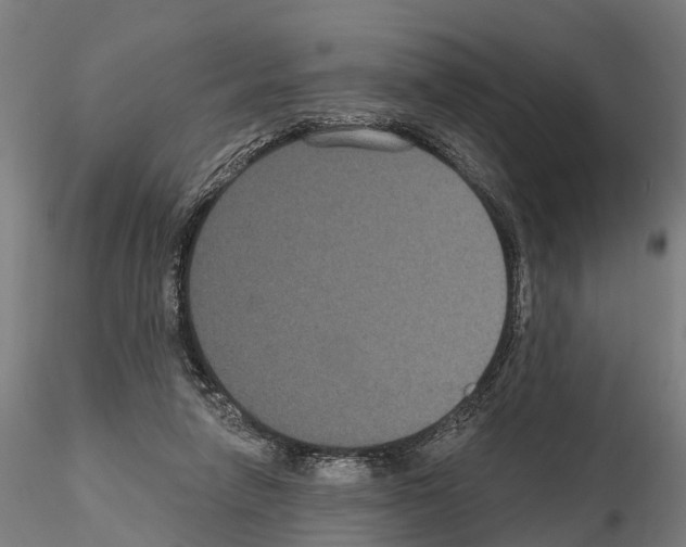 X0000114720258200912021201